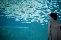 Кадр Кукловод