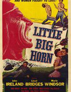 Little Big Horn