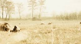 Кадр из фильма "2016: Конец ночи" - 2