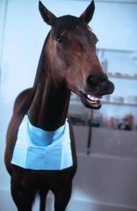 Кадр Удачное наследство