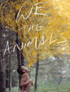 Мы, животные