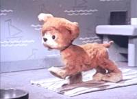 Кадр Кто сказал мяу?