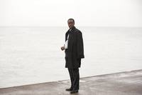 Кадр Ирландец