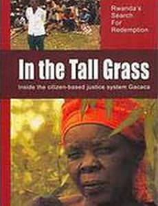 В высокой траве