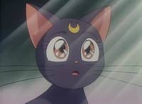 Кадр Красавица-воин Сейлор Мун Эс