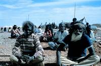 Кадр Там, где мечтают зеленые муравьи