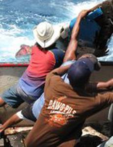 My Village, My Lobster