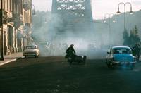 Кадр Красный какаду