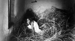 Кадр из фильма "Суспирия" - 2