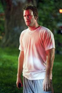 Кадр Жеребец