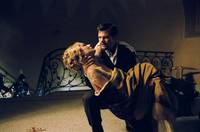 Кадр Тигровые отряды