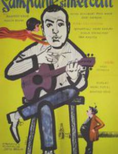 На солнечной стороне