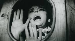 Кадр из фильма "Ужасный секрет доктора Хичкока" - 2