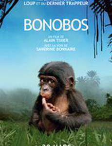 Бонобо