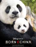 Постер из фильма "Рожденные в Китае" - 1