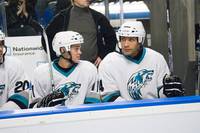 Кадр Зубная фея