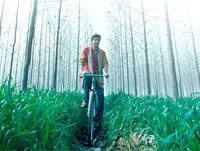 Кадр Времена года