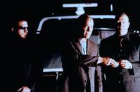 Кадр Белый медведь