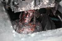 Кадр Белый тигр