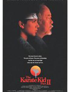 Парень-каратист 2