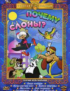 Почему слоны?