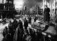 Кадр Собаки, хотите жить вечно?