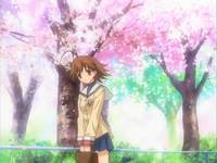 Кадр Кланнад