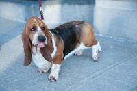 Кадр Где-то сегодня ночью