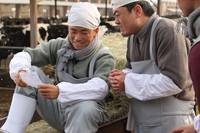 Кадр Дорога с приключениями