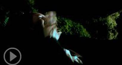 ТВ-ролик №2