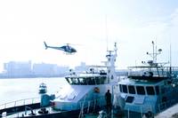 Кадр Вирусный фактор