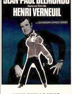 Страх над городом