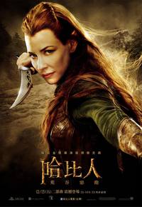 Постер Хоббит: Пустошь Смауга