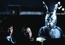 Кролик на Хэллоуин: «Донни Дарко» - завтра в «ПроКИНОнаНЛО»