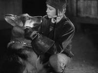 Кадр Тимур и его команда