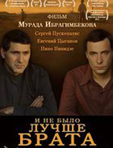 И не было лучше брата