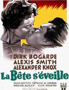 Спящий тигр