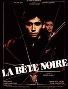 Темная лошадка