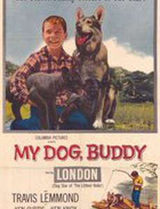 My Dog, Buddy