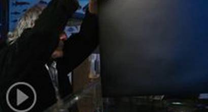 Фрагмент №2