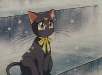 Кадр Красавица-воин Сейлор Мун Эс