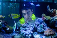 Кадр Дневной свет