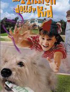 Парнишка-миллионер