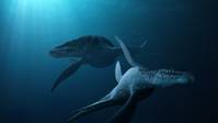 Кадр Морские динозавры 3D: Путешествие в доисторический мир