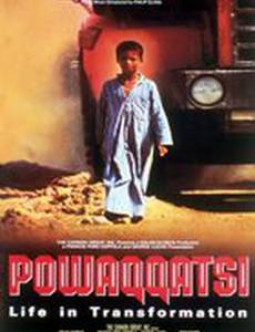 Поваккатси