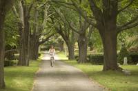 Кадр Любовники