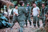 Кадр Военные потери