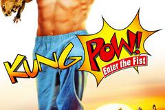 Кунг По: Нарвись на кулак