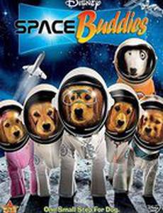 Космические друзья (видео)