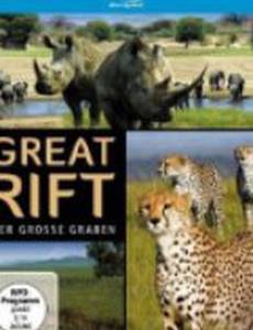 Большой африканский разлом